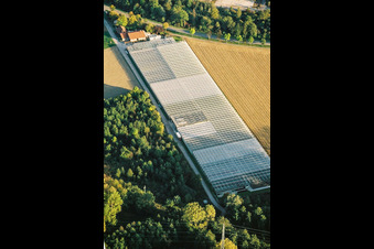 Aerial view of Nursery in the district Sondernheim in Germersheim in the state Rhineland-Palatinate, Germany