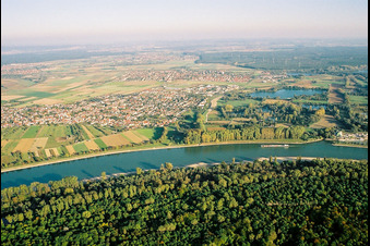 Rhine opposite Speyer in Altlußheim in the state Baden-Wuerttemberg, Germany