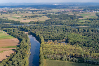 Old Rhine / Michelsbach in the district Sondernheim in Germersheim in the state Rhineland-Palatinate, Germany