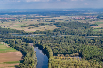 Aerial view of Old Rhine / Michelsbach in the district Sondernheim in Germersheim in the state Rhineland-Palatinate, Germany