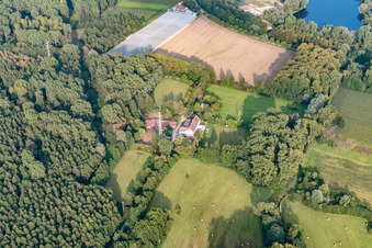 Aerial view of Aussiedlerhof on the edge of the forest in Bellheim in the state Rhineland-Palatinate, Germany
