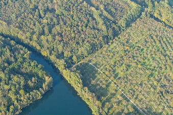 Rhine Lateral Canal in the district Freistett in Rheinau in the state Baden-Wuerttemberg, Germany