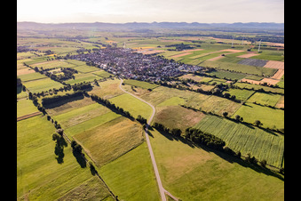 Oblique view of Village view from the southeast in Minfeld in the state Rhineland-Palatinate, Germany