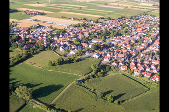 Oblique view of In the castle garden in Minfeld in the state Rhineland-Palatinate, Germany