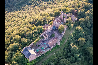 Madenburg Castle Ruins in Eschbach in the state Rhineland-Palatinate, Germany viewn from the air