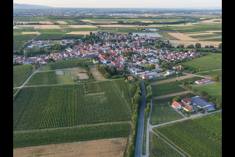 Oblique view of Village view from the south in Impflingen in the state Rhineland-Palatinate, Germany