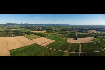 Panorama of fields and vineyards around Billigheim in the district Ingenheim in Billigheim-Ingenheim in the state Rhineland-Palatinate, Germany