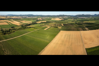 Fields and vineyards in the Horbachtal in Niederhorbach in the state Rhineland-Palatinate, Germany