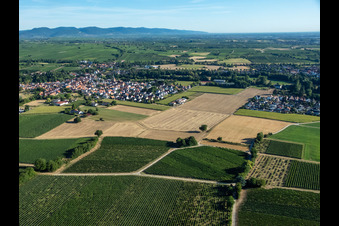 Oblique view of From the south in the district Ingenheim in Billigheim-Ingenheim in the state Rhineland-Palatinate, Germany