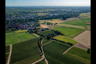 Bird's eye view of District Mühlhofen in Billigheim-Ingenheim in the state Rhineland-Palatinate, Germany