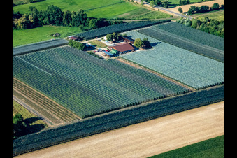Bird's eye view of Asparagus and Obsthof Gensheimer in Steinweiler in the state Rhineland-Palatinate, Germany