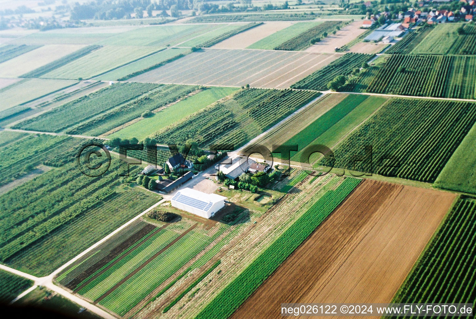 Farmer's garden in Winden in the state Rhineland-Palatinate, Germany from the drone perspective