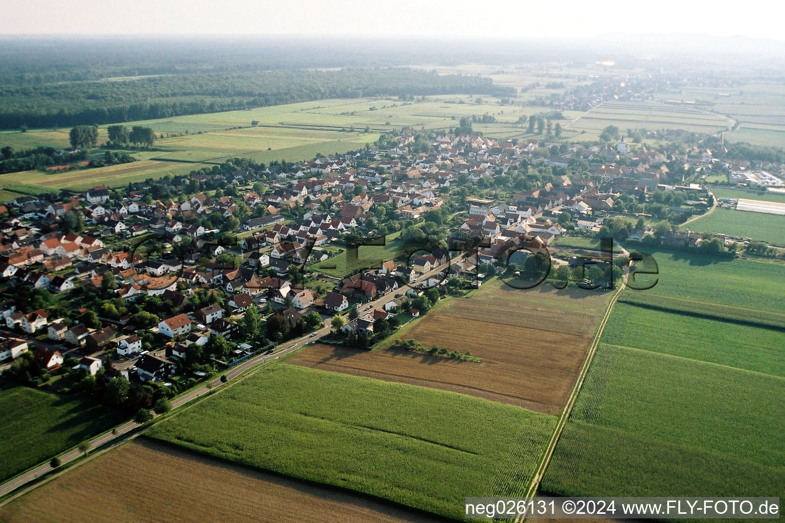 Aerial view of From the northeast in Minfeld in the state Rhineland-Palatinate, Germany