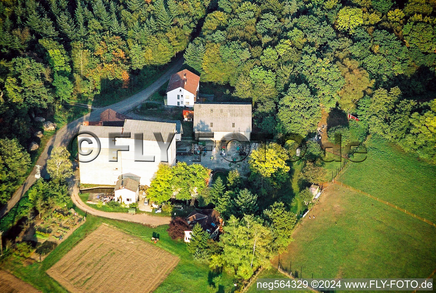 Aerial view of Historic water mill on the farmstead of a farm between forest and meadows in Minfeld in the state Rhineland-Palatinate, Germany