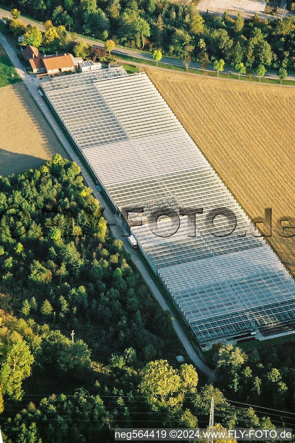 Gardening in the district Sondernheim in Germersheim in the state Rhineland-Palatinate, Germany