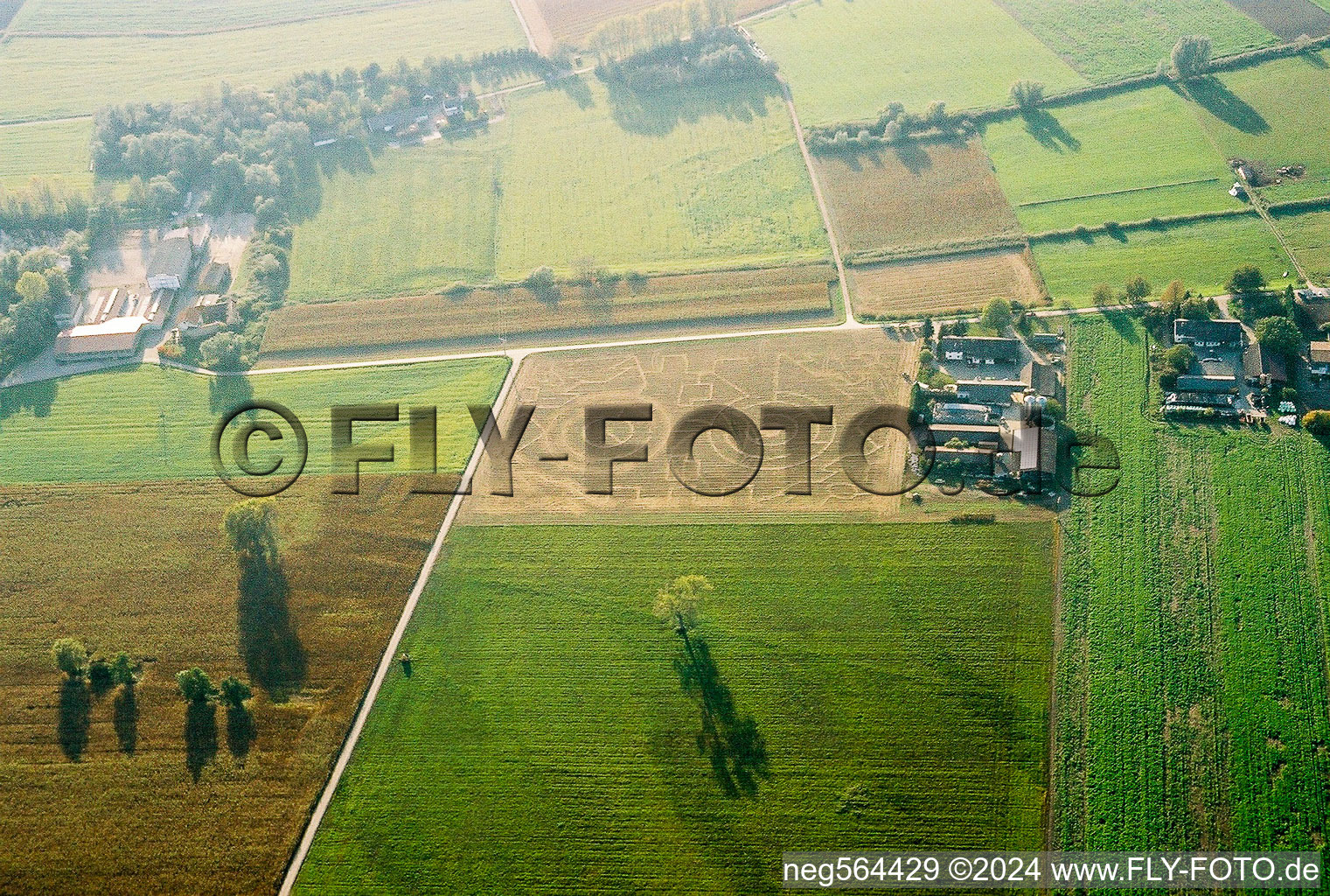 Corn-Maze - Labyrinth in a former corn-field in Hockenheim in the state Baden-Wurttemberg