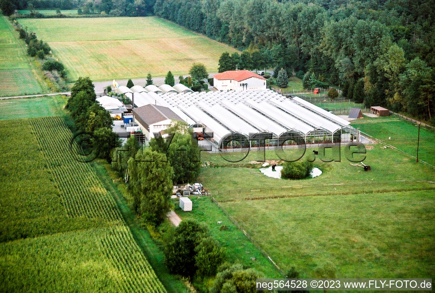 Aerial view of Nursery in Freckenfeld in the state Rhineland-Palatinate, Germany