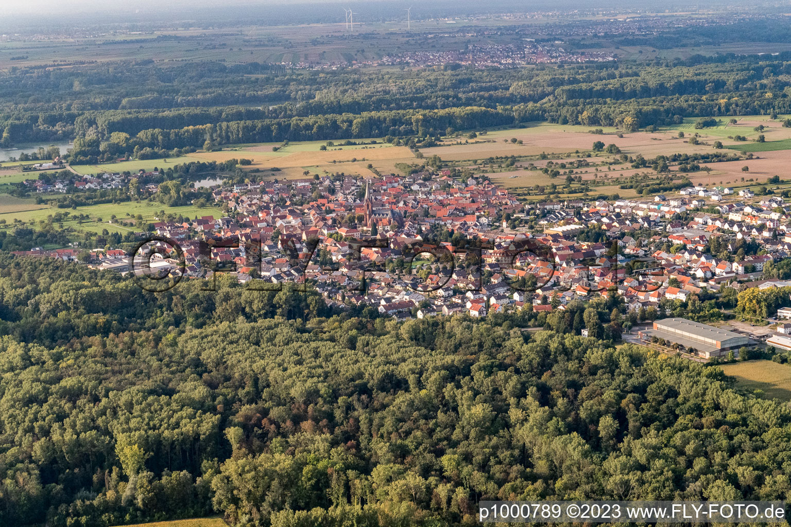 District Rheinsheim in Philippsburg in the state Baden-Wuerttemberg, Germany from a drone