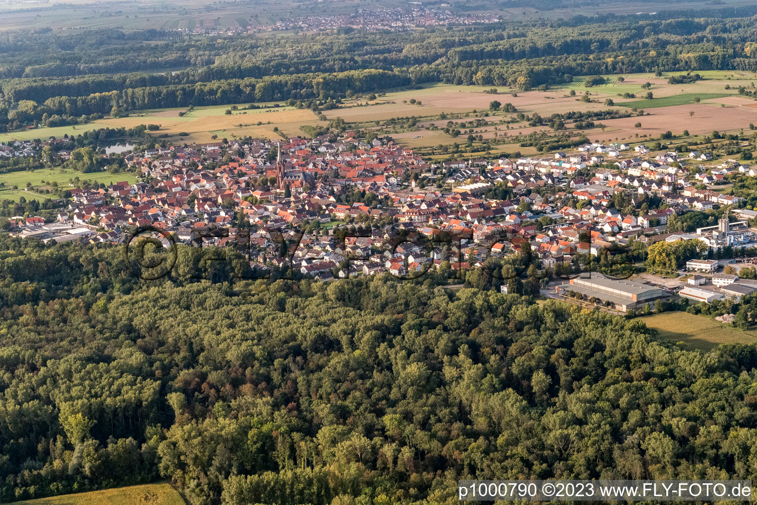 District Rheinsheim in Philippsburg in the state Baden-Wuerttemberg, Germany seen from a drone