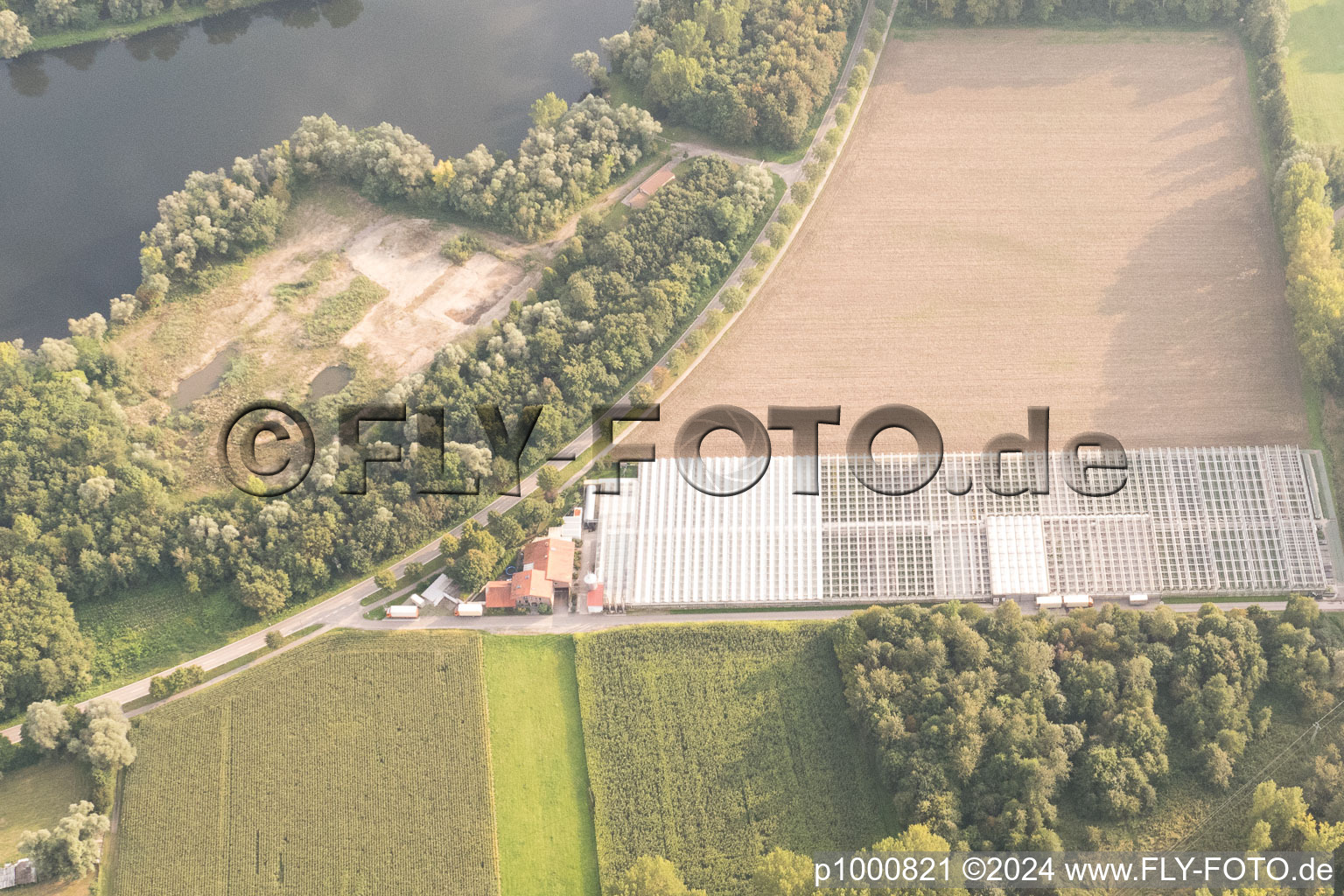 District Sondernheim in Germersheim in the state Rhineland-Palatinate, Germany from the plane