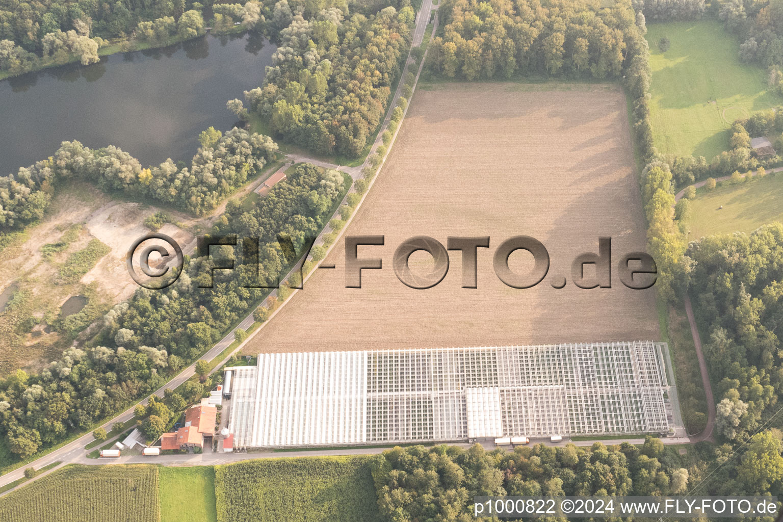 Bird's eye view of District Sondernheim in Germersheim in the state Rhineland-Palatinate, Germany