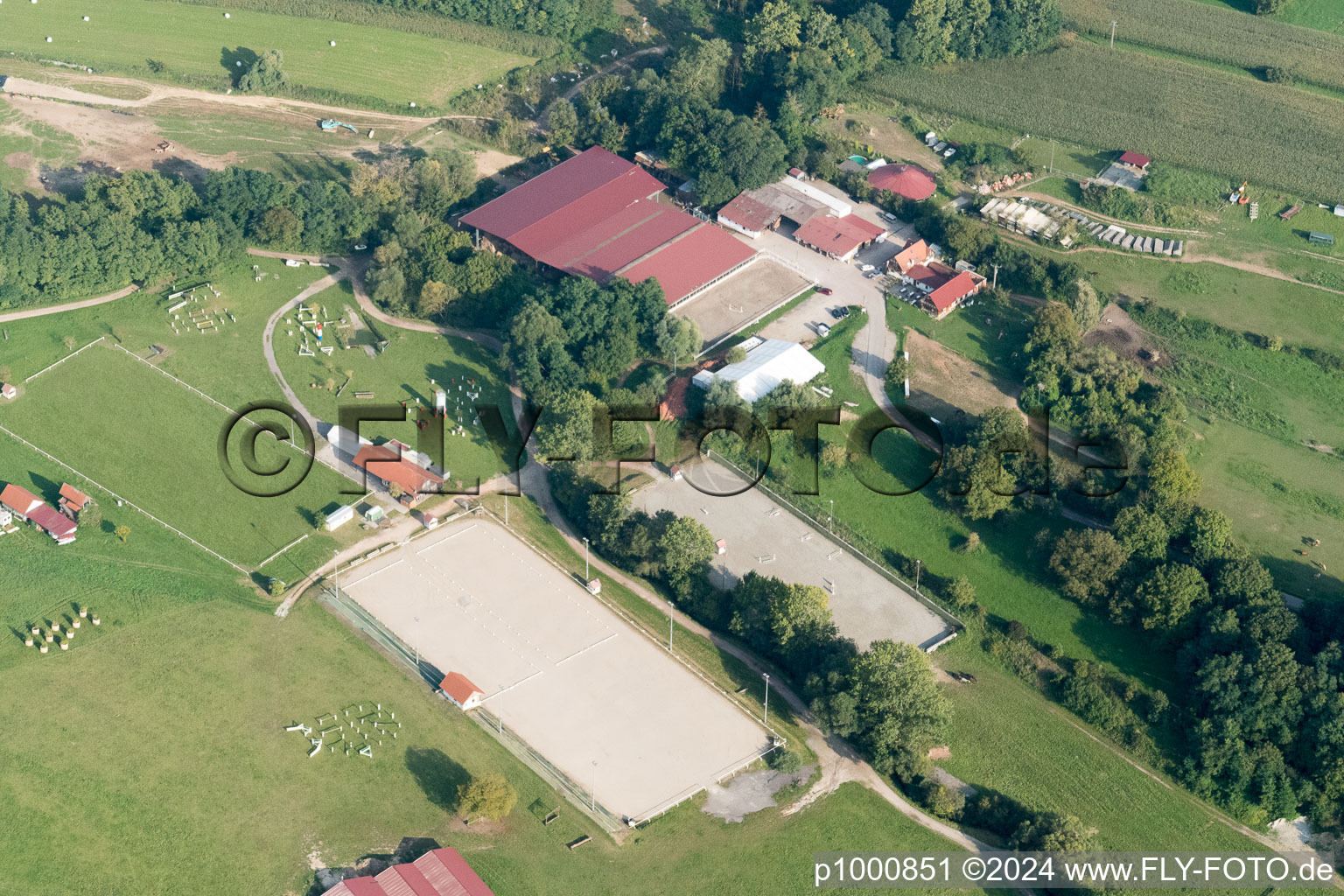 Haras de la Nee in Neewiller-près-Lauterbourg in the state Bas-Rhin, France from a drone