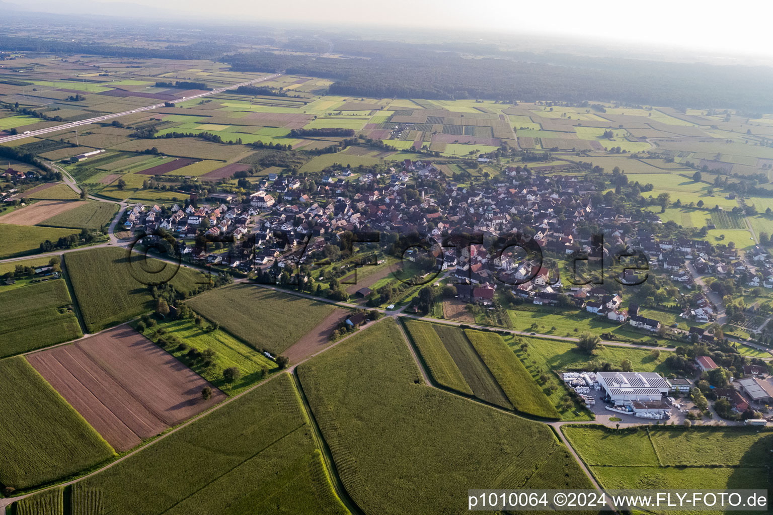 District Wagshurst in Achern in the state Baden-Wuerttemberg, Germany out of the air