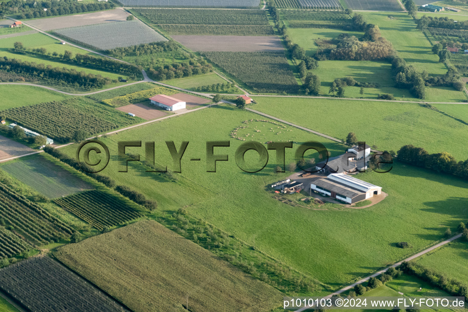 Aerial photograpy of District Erlach in Renchen in the state Baden-Wuerttemberg, Germany