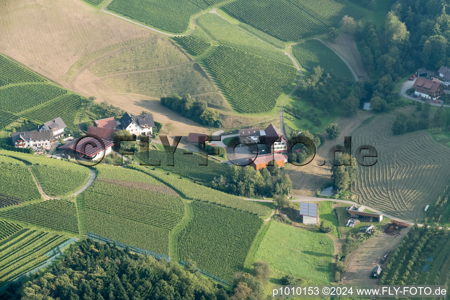 At Eckenberg in Oberkirch in the state Baden-Wuerttemberg, Germany