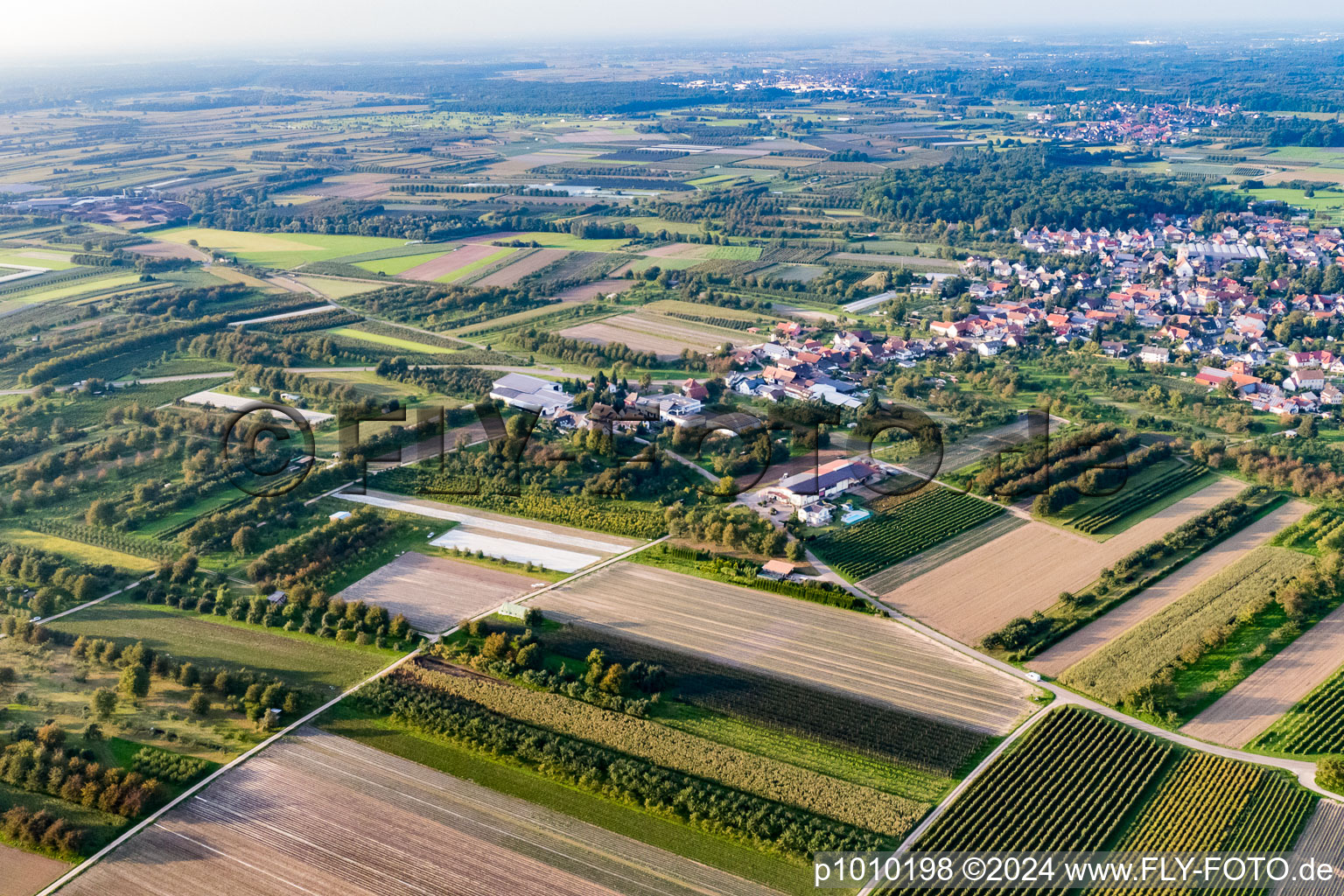 Aerial view of District Zusenhofen in Oberkirch in the state Baden-Wuerttemberg, Germany