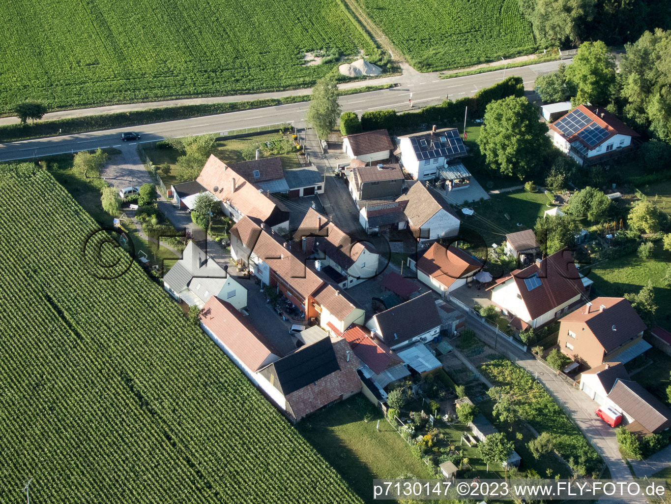 Minfeld in the state Rhineland-Palatinate, Germany seen from a drone