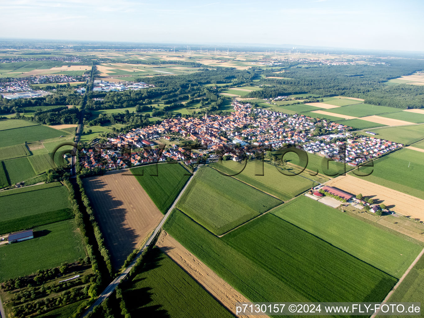 Steinweiler in the state Rhineland-Palatinate, Germany out of the air