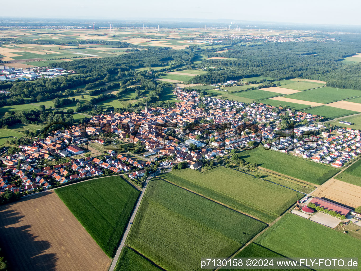 Steinweiler in the state Rhineland-Palatinate, Germany seen from above