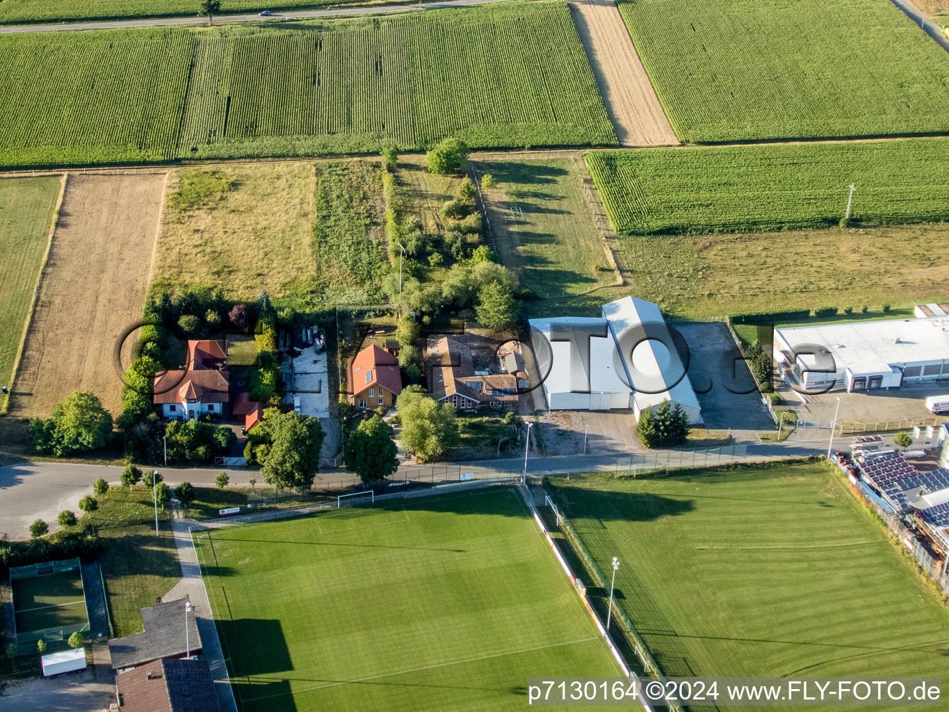 Aerial view of District Billigheim in Billigheim-Ingenheim in the state Rhineland-Palatinate, Germany