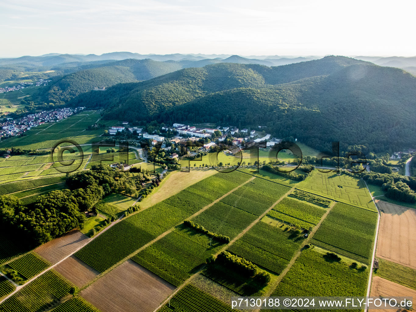 Aerial view of Klingenmünster in the state Rhineland-Palatinate, Germany