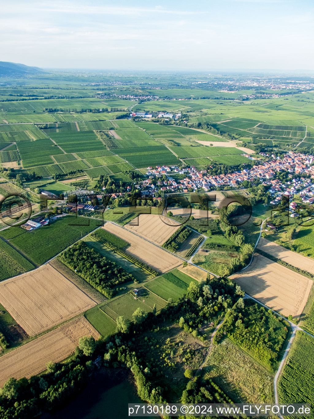 Göcklingen in the state Rhineland-Palatinate, Germany from above