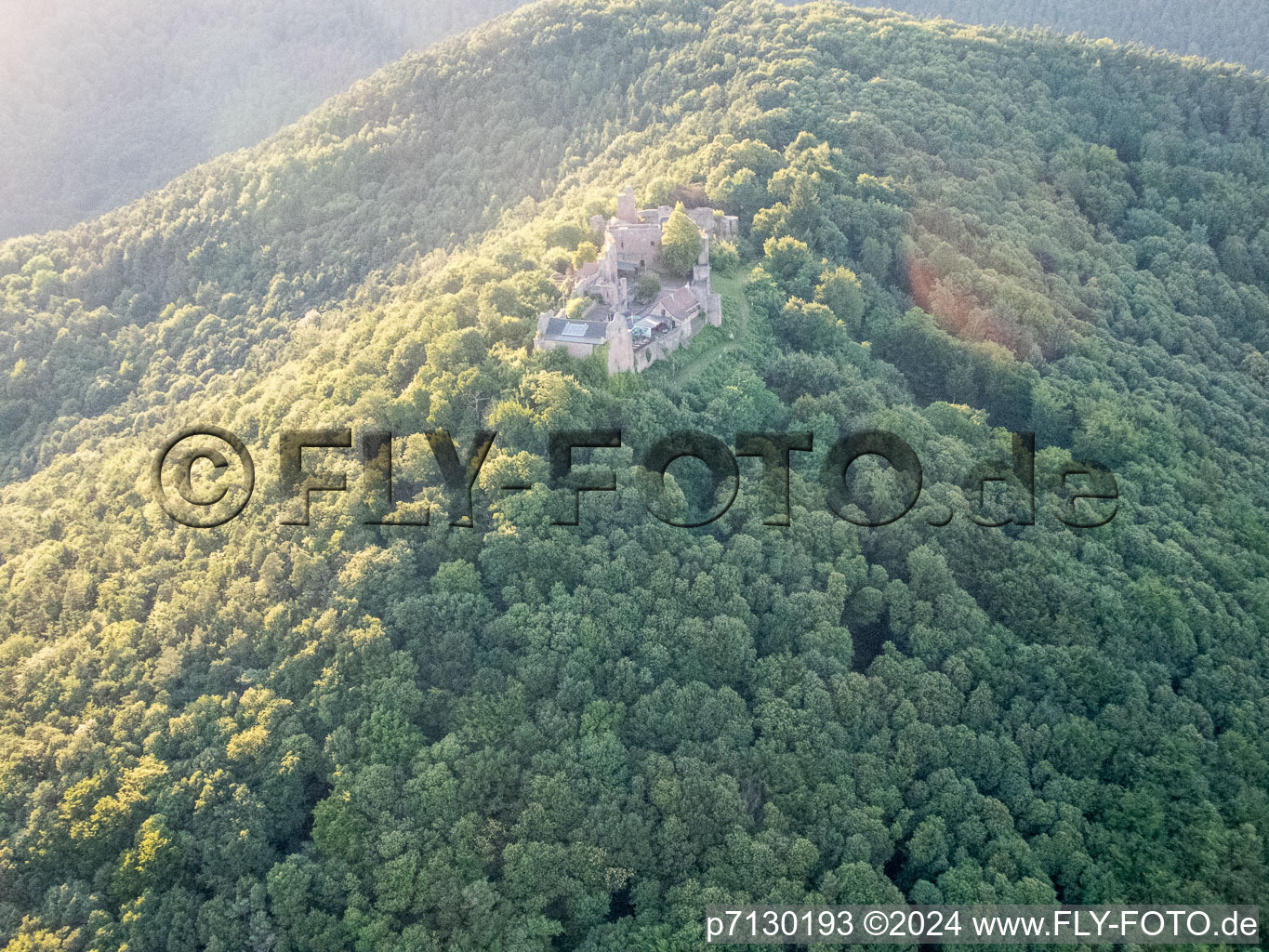 Madenburg in Eschbach in the state Rhineland-Palatinate, Germany out of the air