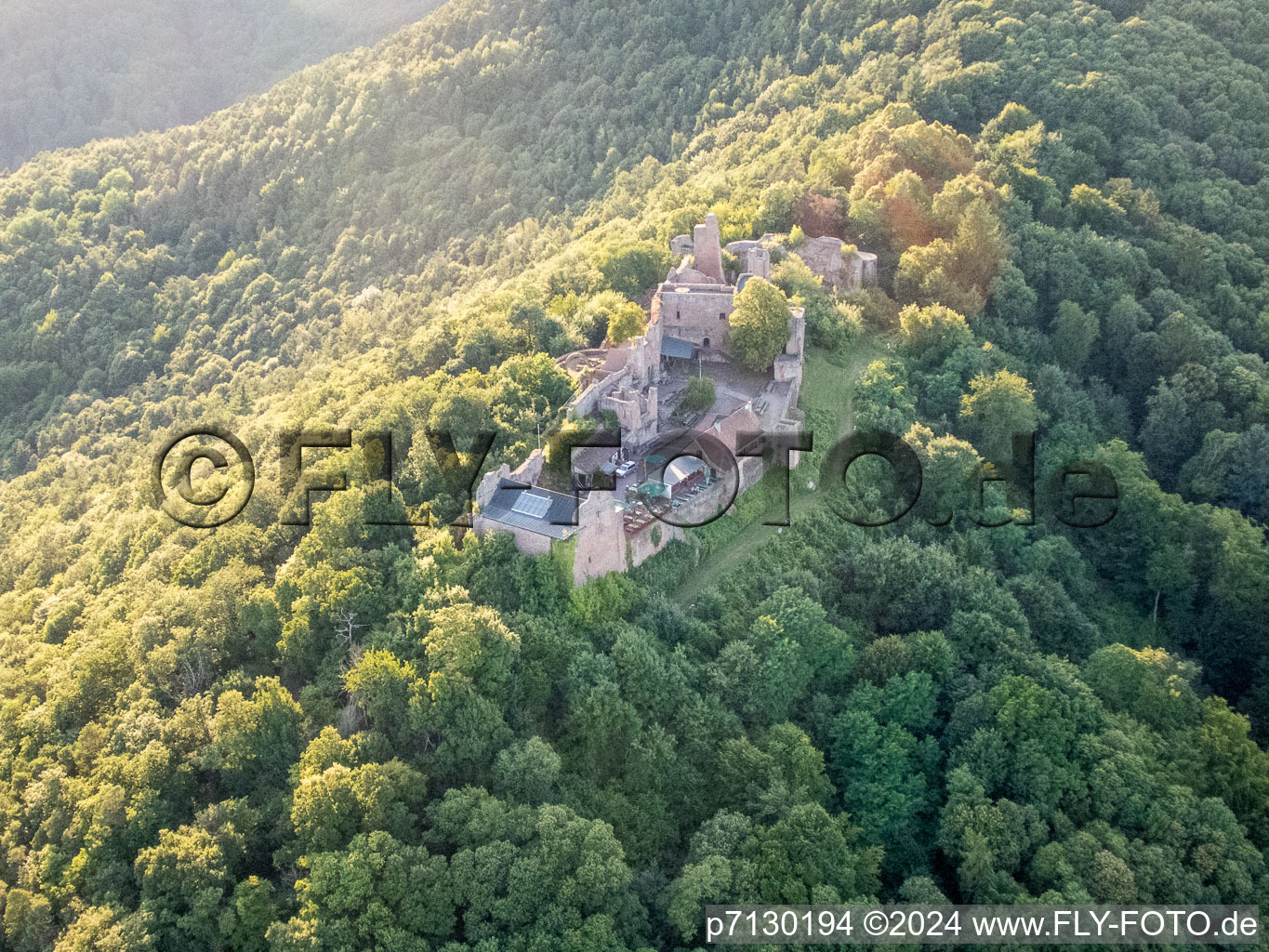 Madenburg in Eschbach in the state Rhineland-Palatinate, Germany seen from above