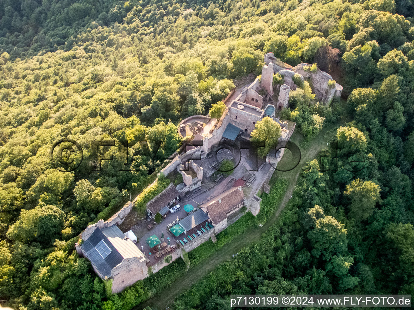 Bird's eye view of Madenburg in Eschbach in the state Rhineland-Palatinate, Germany