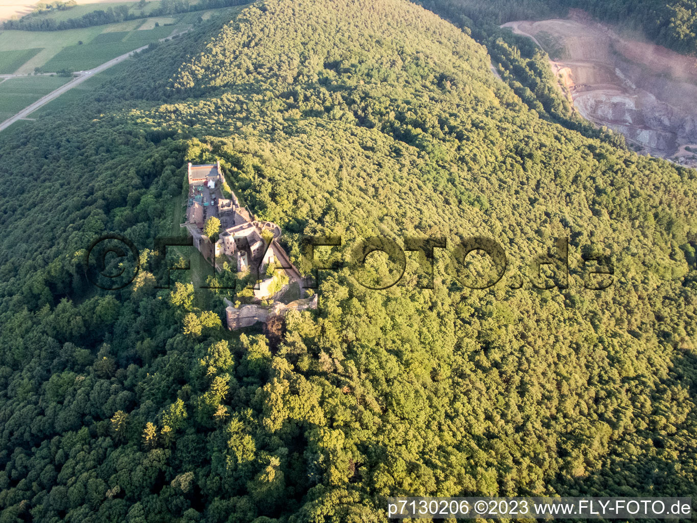 Drone recording of Madenburg in Eschbach in the state Rhineland-Palatinate, Germany