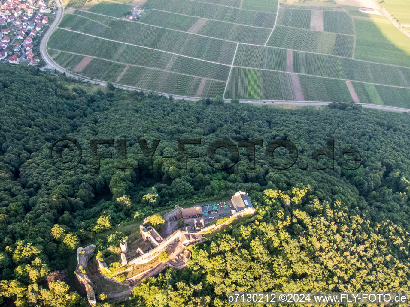 Madenburg in Eschbach in the state Rhineland-Palatinate, Germany seen from a drone