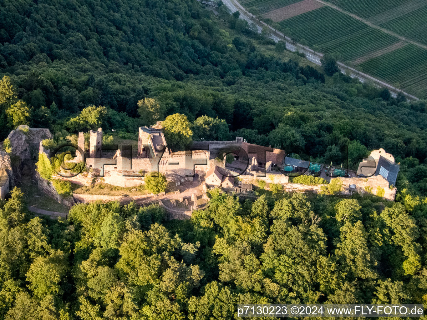 Oblique view of Madenburg in Eschbach in the state Rhineland-Palatinate, Germany