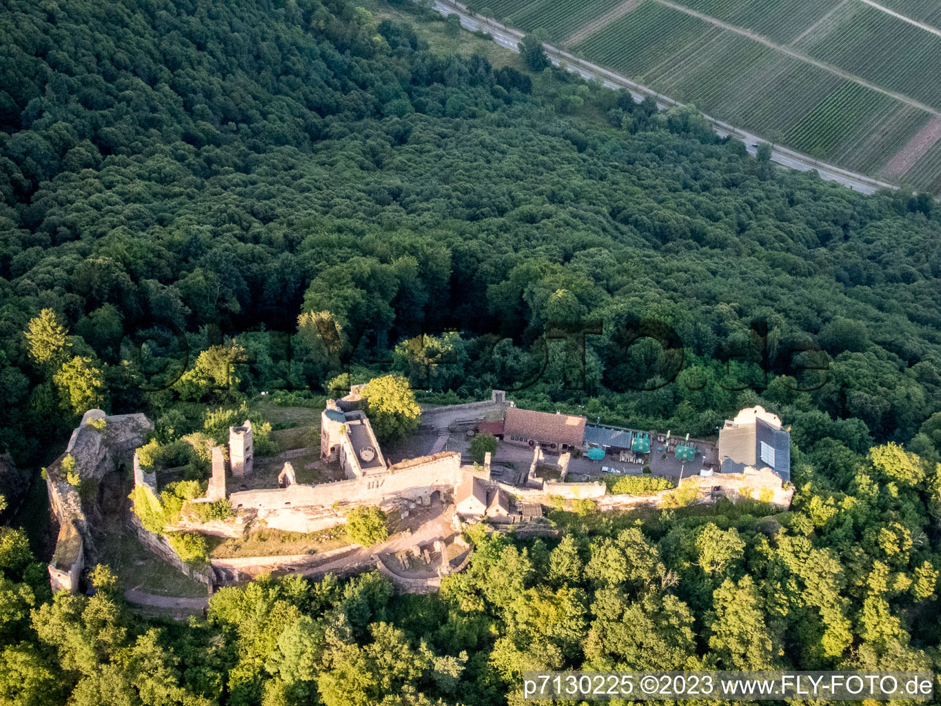 Madenburg in Eschbach in the state Rhineland-Palatinate, Germany from above