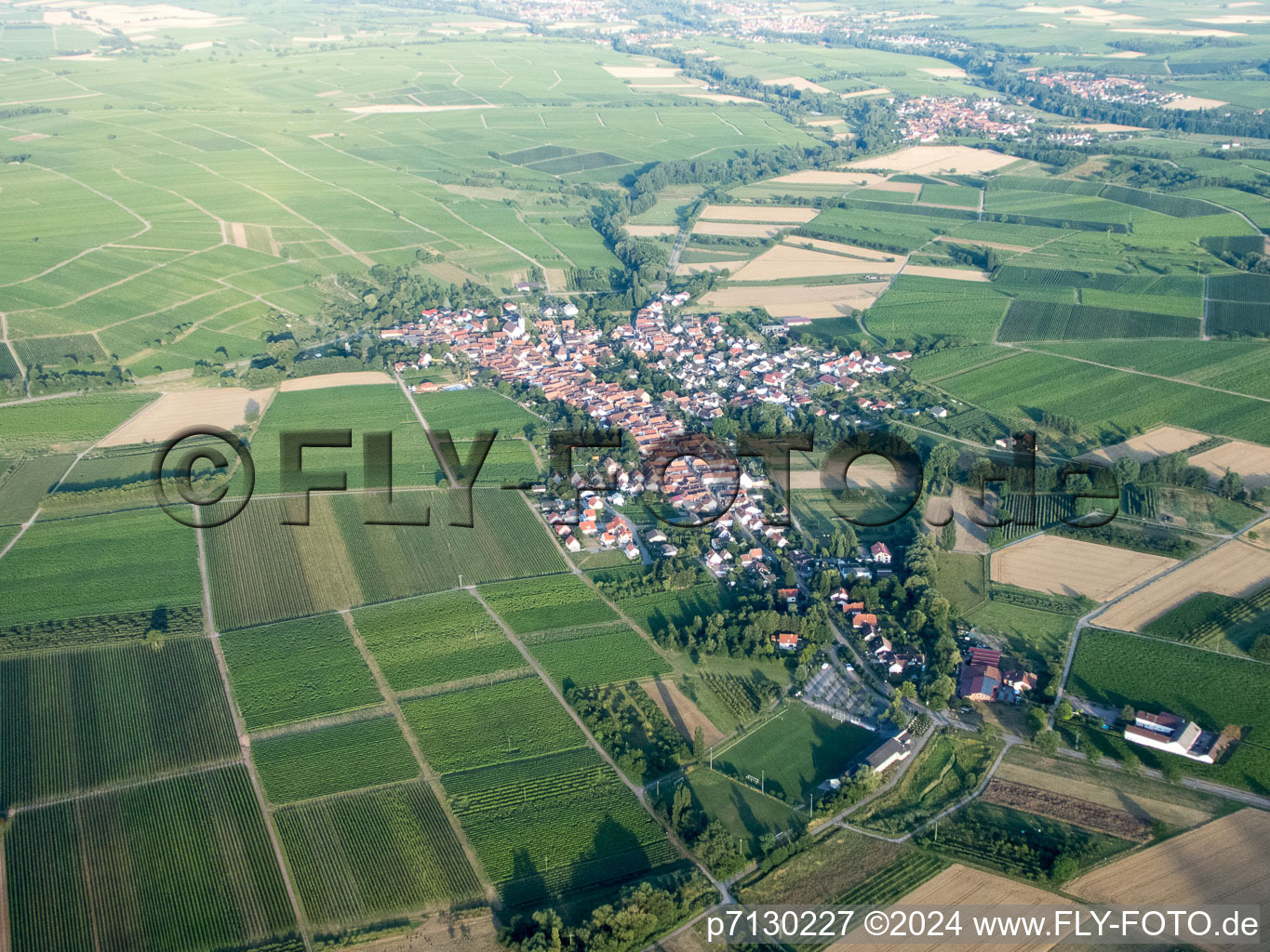 Göcklingen in the state Rhineland-Palatinate, Germany out of the air