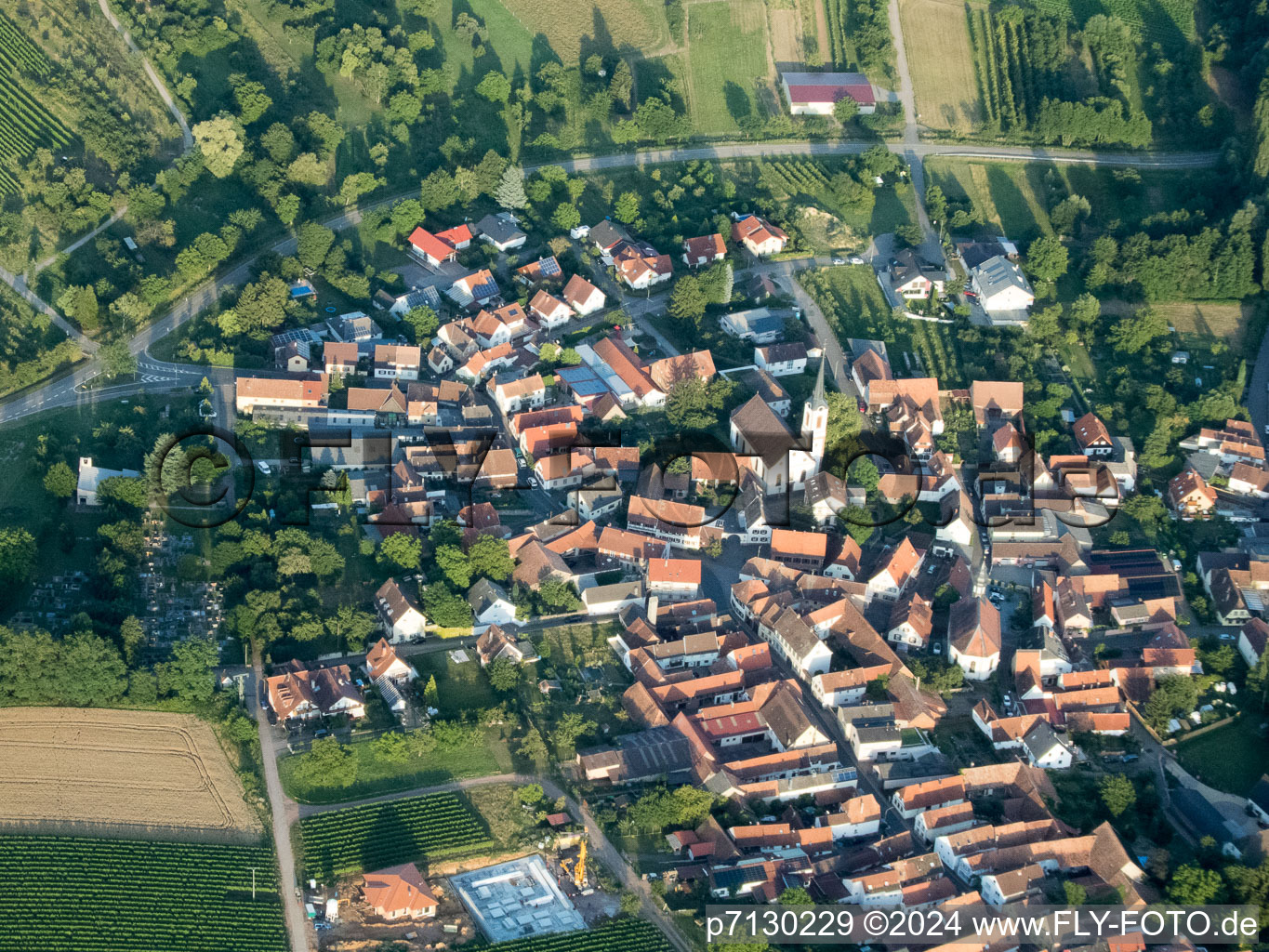 Göcklingen in the state Rhineland-Palatinate, Germany from the plane