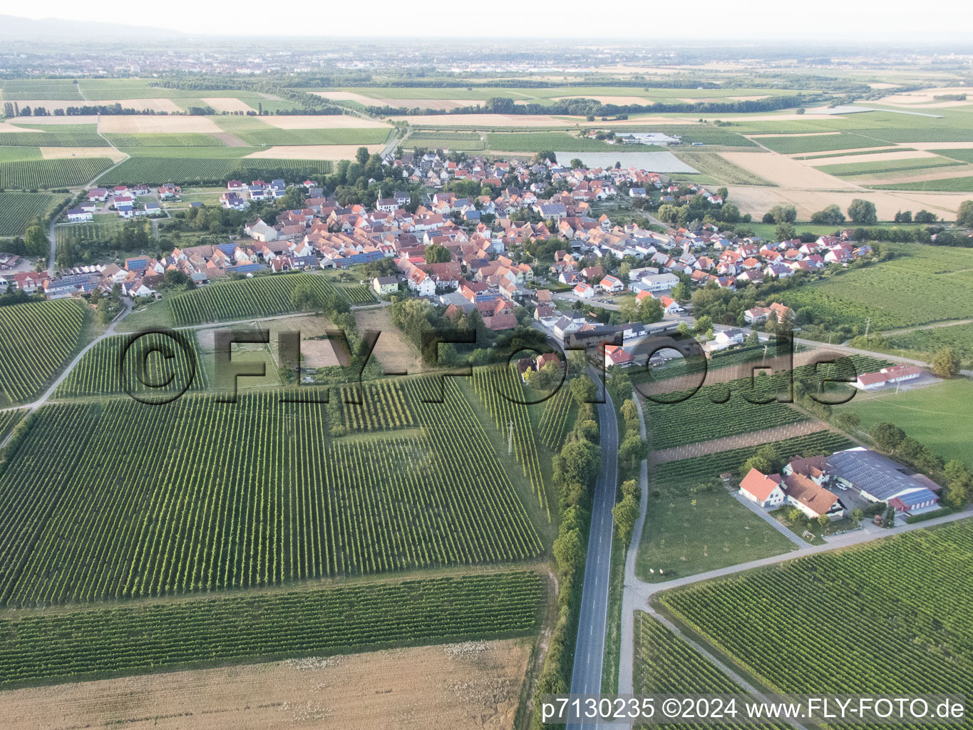 Aerial view of Impflingen in the state Rhineland-Palatinate, Germany