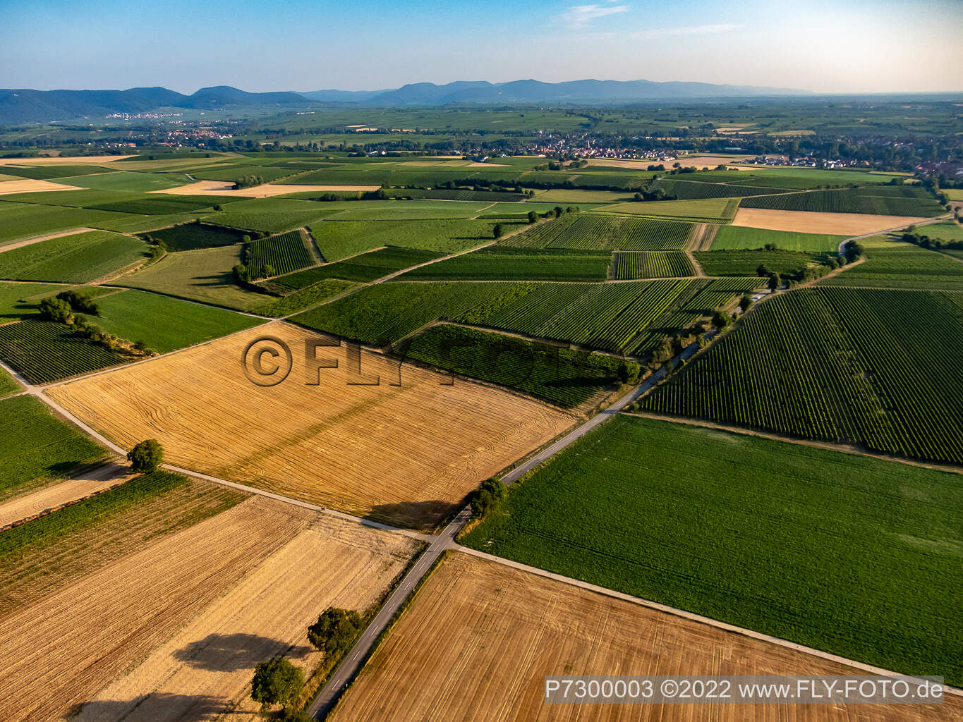 Fields and vineyards around Billigheim in the district Ingenheim in Billigheim-Ingenheim in the state Rhineland-Palatinate, Germany