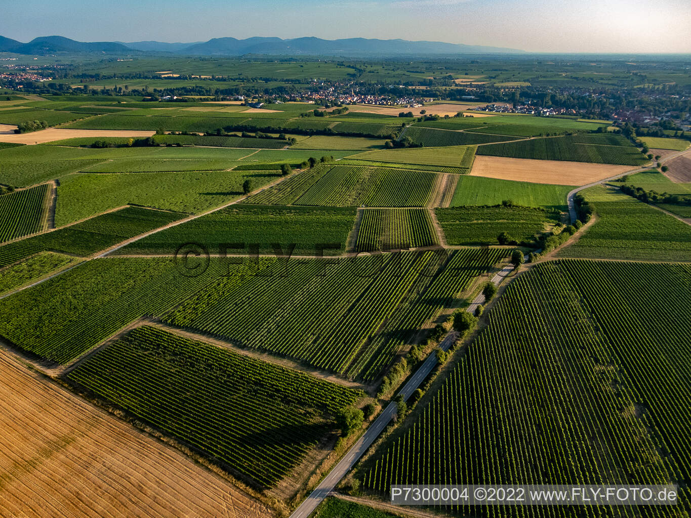 Aerial view of Fields and vineyards around Billigheim in the district Ingenheim in Billigheim-Ingenheim in the state Rhineland-Palatinate, Germany