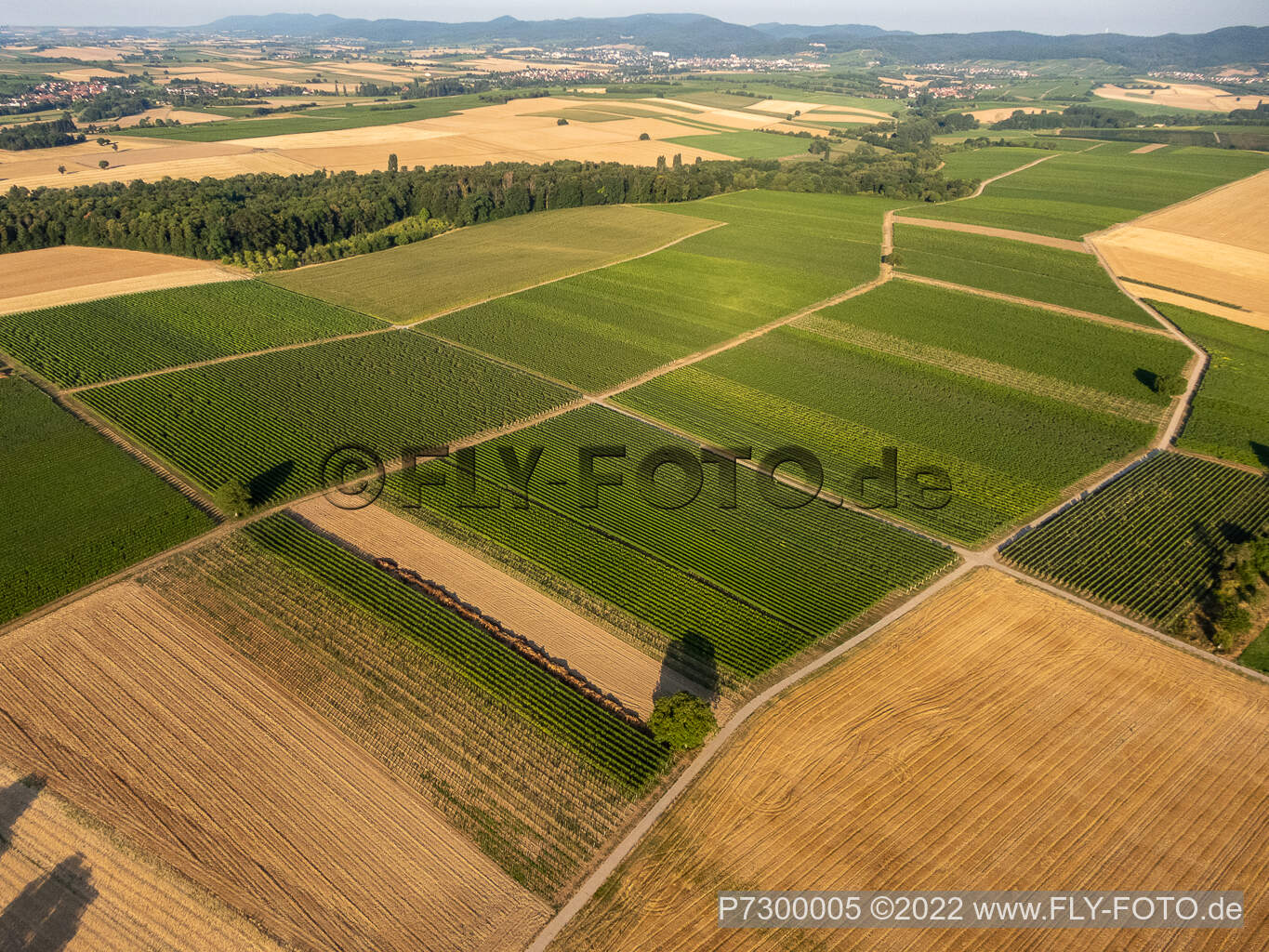Aerial photograpy of Fields and vineyards around Billigheim in the district Ingenheim in Billigheim-Ingenheim in the state Rhineland-Palatinate, Germany