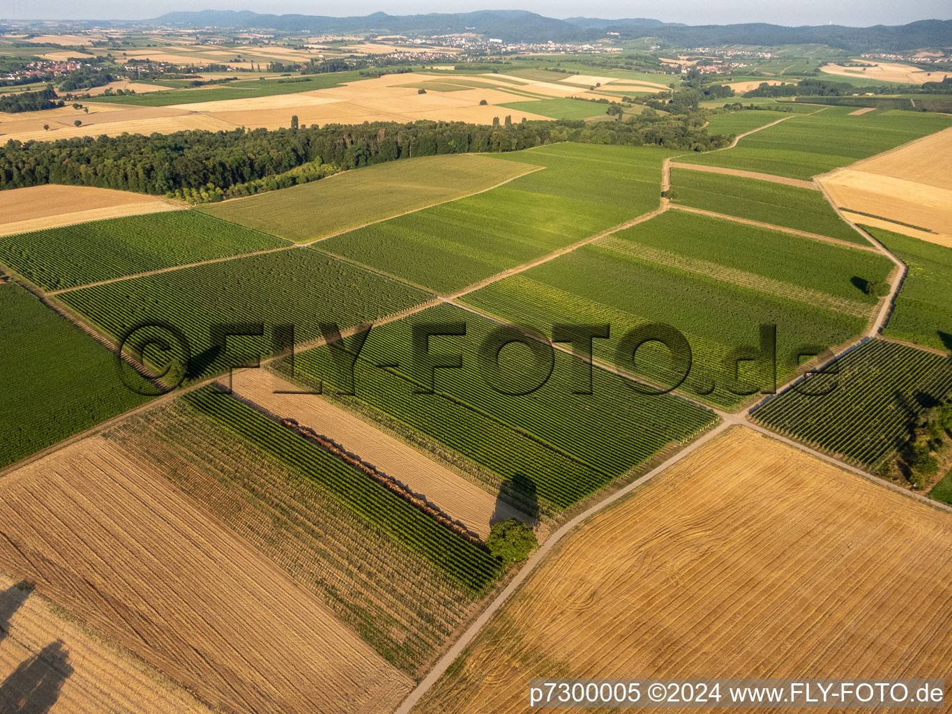 Aerial photograpy of Fields and vineyards around Billigheim in the district Ingenheim in Billigheim-Ingenheim in the state Rhineland-Palatinate, Germany